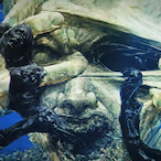 OrtaDoguLideri's Avatar'