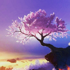 Nathirko_XV's Avatar'