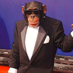 Ze_Bucetinha's Avatar'