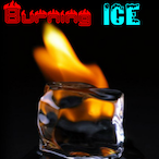 Why.ib's Avatar'
