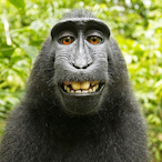 PassiPolska's Avatar'