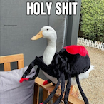 DUCKYBOND 007's Avatar'