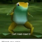 BestPorpoise185's Avatar'