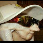 O.Frango's Avatar'