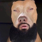 GreasyFeller's Avatar'