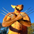Aaaaakangaroo-5's Avatar'
