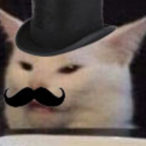 Tungsten_Rat_'s Avatar'