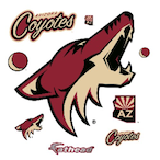 creepercopter's Avatar'