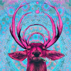 Ero501's Avatar'