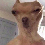 YourLocalGoblin's Avatar'