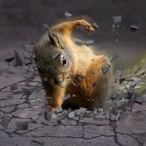 yena.j1gum1na's Avatar'