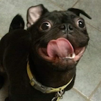 DZKRLEGEND's Avatar'