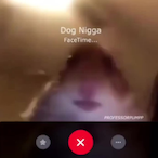 LAZYCHIGGA's Avatar'