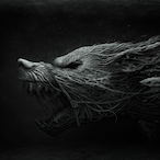 WOLF_Tiger's Avatar'