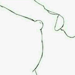 Bird_yousa's Avatar'