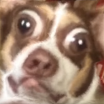 lilrubberducky_'s Avatar'
