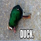 TTboymitch's Avatar'