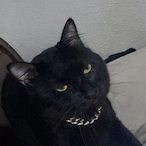 Iaurinha's Avatar'