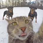 tezcan-1100's Avatar'