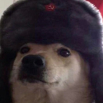 EmperorIkea's Avatar'