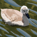 RC3POK.'s Avatar'