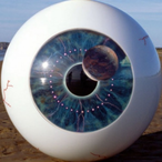 SnapWithAnE's Avatar