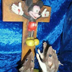 balthazardalton1's Avatar'