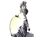 theguccizebra21's Avatar'