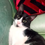 EnterWInds's Avatar'