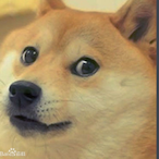 slowreacguy's Avatar'