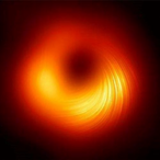 RHZ233's Avatar'