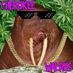 cherokeeWALRUS_'s Avatar'