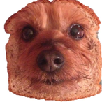 Elo_J_Fudpucker's Avatar