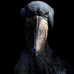 easterbussy's Avatar'