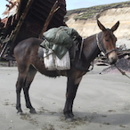 Mumumlllle's Avatar'