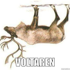 africone's Avatar'