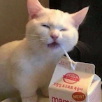 GoofyToeEnjoyer's Avatar'