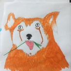RedPandaBoi23's Avatar'