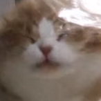 Aziz_E's Avatar'