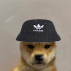 PERRO_ENCAPUXAO's Avatar'