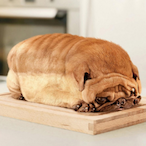 Quartzonio's Avatar'