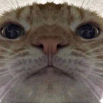 Muzirilo's Avatar'