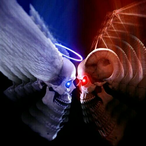 temp-243416's Avatar'