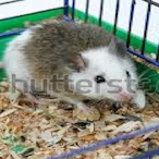 Very_Special_Ed's Avatar'