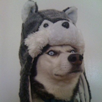 Nillabear's Avatar'