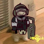 turboebanat's Avatar'