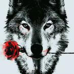 HiddenMeco's Avatar'