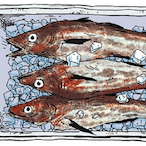 Abuu-Shahab's Avatar'