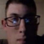 CongestedCow116's Avatar'