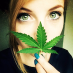 CaptainKush1009's Avatar'